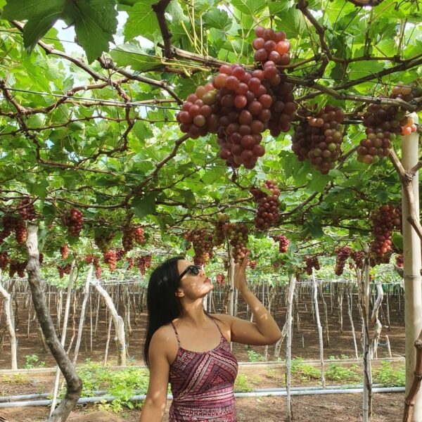 Cảnh đẹp tour Bình Hưng Vĩnh Hy Cam Ranh