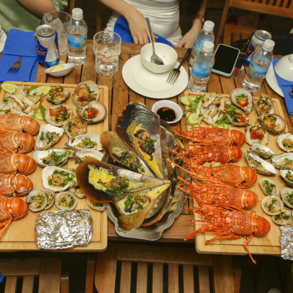 Tàu đáy kính xem san hô Vịnh Vĩnh Hy