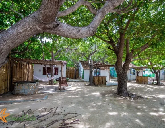 Hình Ảnh & Bảng Giá Phòng Sao Biển Bình Lập 2026 – Nơi Nghỉ Dưỡng Trong Tour Chú Lãm