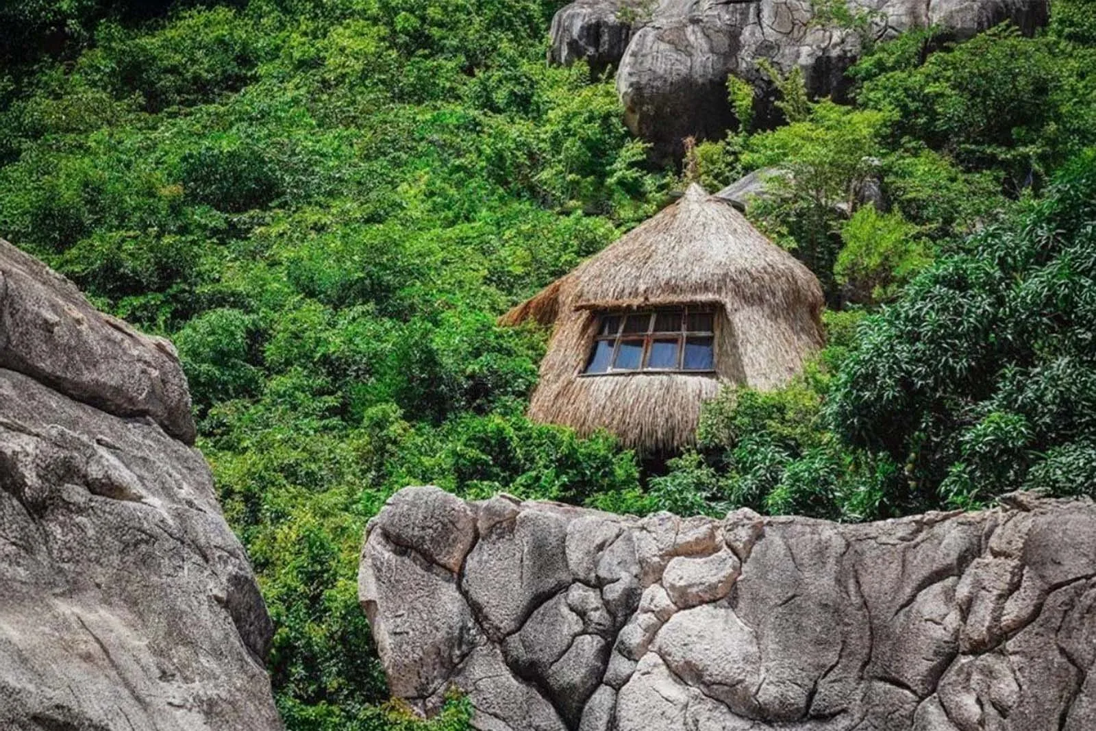 Nhà Tổ Chim Sao Biển Bình Lập